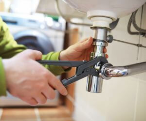 About Root Removal Company - root removal experts in Cave Creek