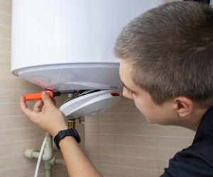Why choose Root Removal Company for root removal in Cave Creek